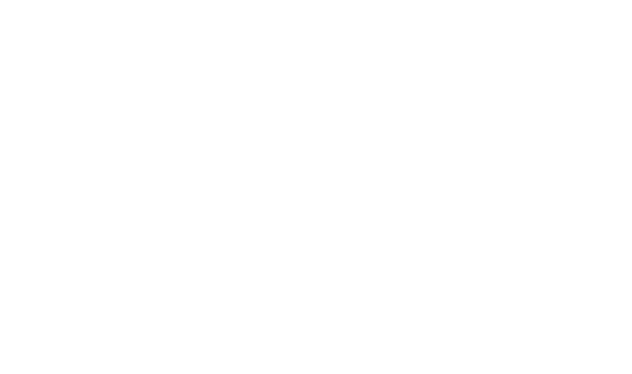 BobsFlag Logo